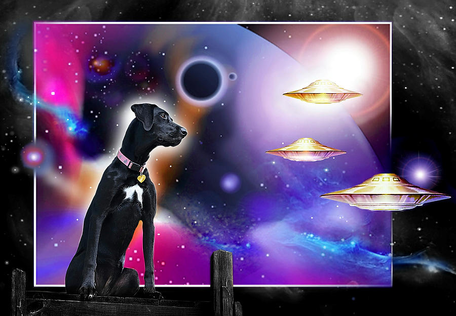 Space Painting - A Dog Called Shasta by Hartmut Jager