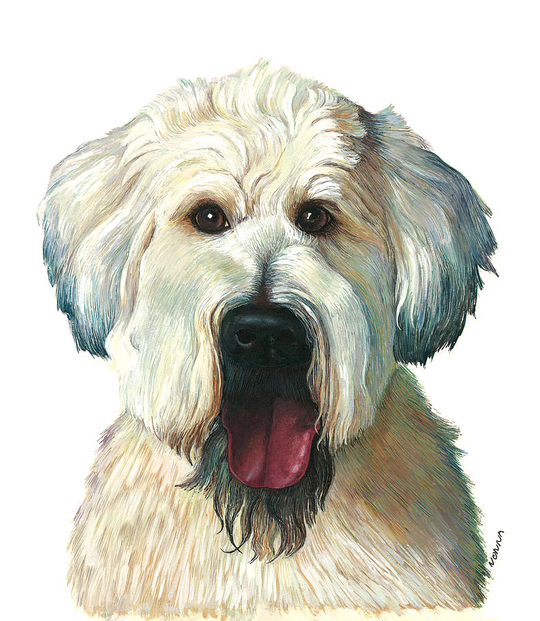 Dog Painting - A Dog who stole my heart... by Nonna Mynatt