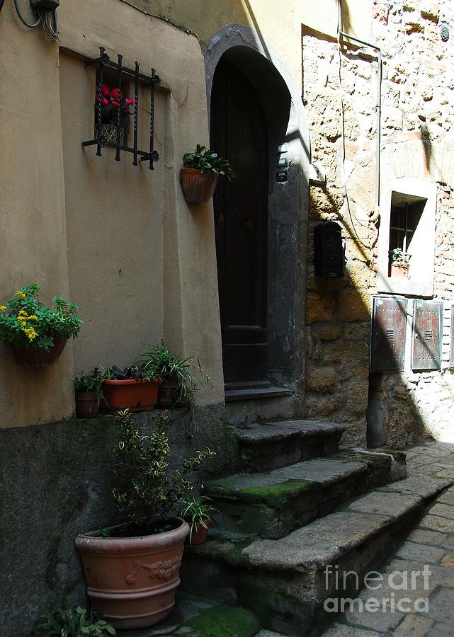 A Door In Tuscany 2 Photograph by Mel Steinhauer
