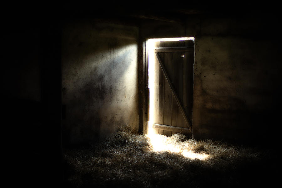 A Door Photograph by Jakub Sisak