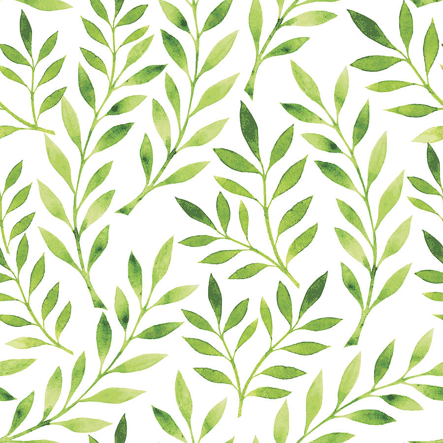 A drawing of a pattern of green leaves on a white background Drawing by A-r-t-i-s-t