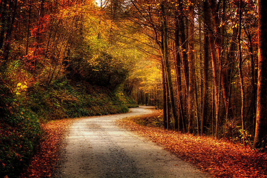 Fall Photograph - A Drive In The Mountains of Western North Carolina by Greg and Chrystal Mimbs