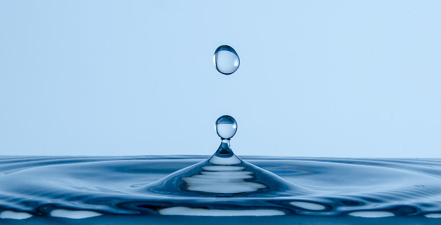 A Drop in the Bucket Photograph by Jennifer Kano - Fine Art America