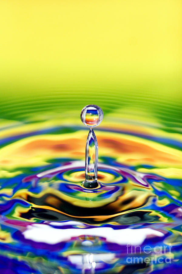 A Drop of Colour Photograph by Tim Gainey