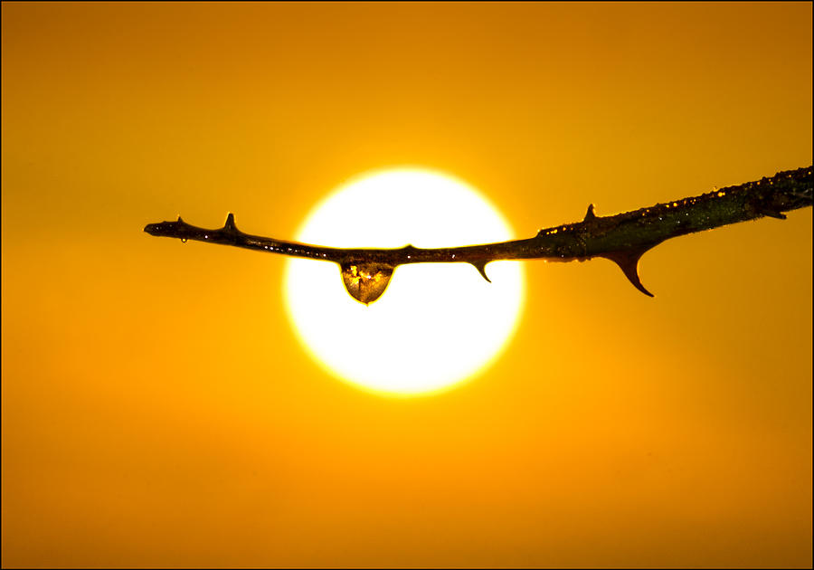 Sunset Photograph - A Drop of Golden Sun by Adrian Campfield