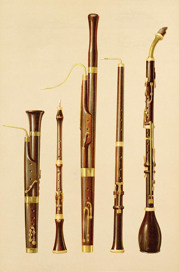 A Dulcian, An Oboe, A Bassoon Drawing by Alfred James Hipkins