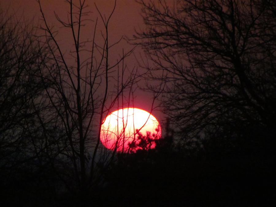 A Even Sun Set Photograph