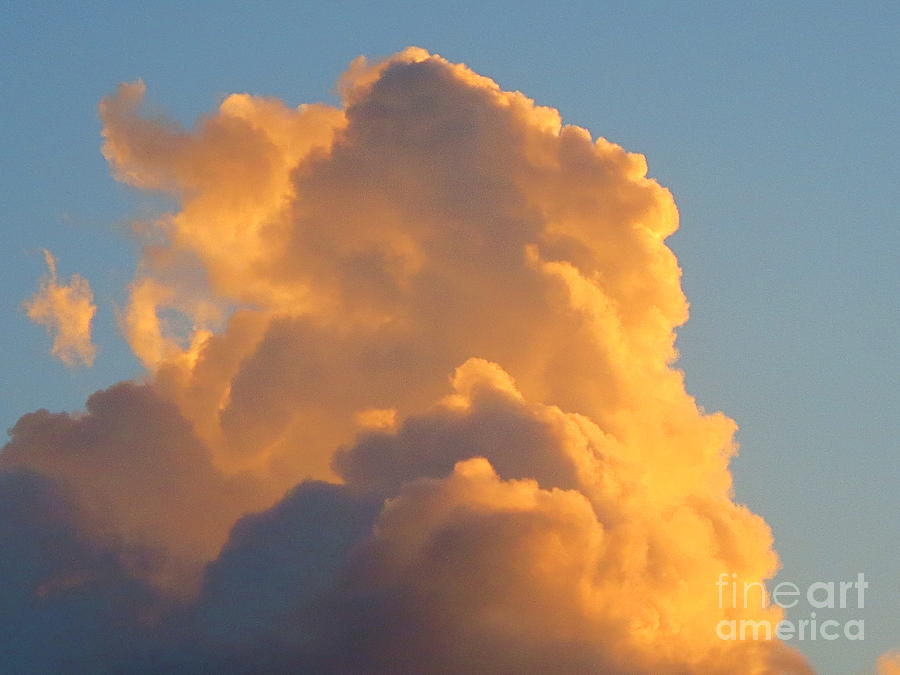 Another Face in the Cloud? Photograph by Robert Birkenes