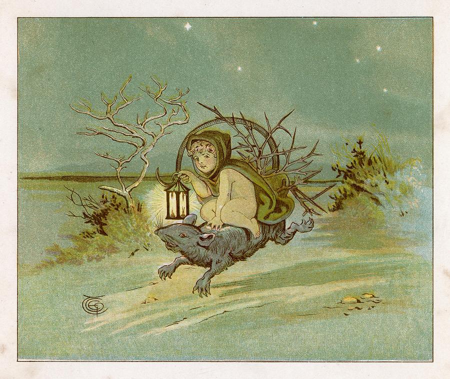 A Fairy Rides A Rat, Carrying Drawing by Mary Evans Picture Library ...
