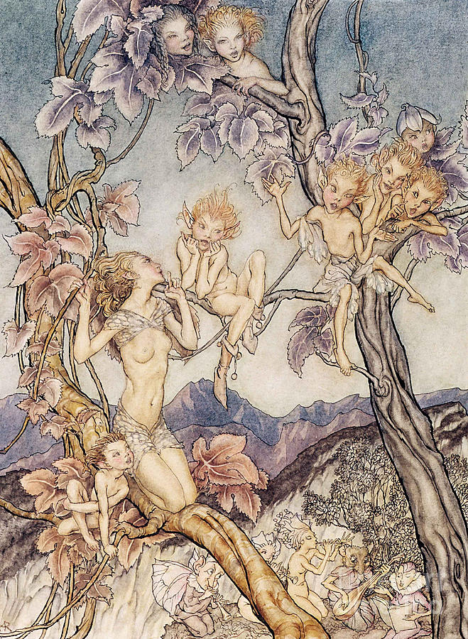 Arthur Rackham Drawing - A Fairy Song from A Midsummer Nights Dream by Arthur Rackham