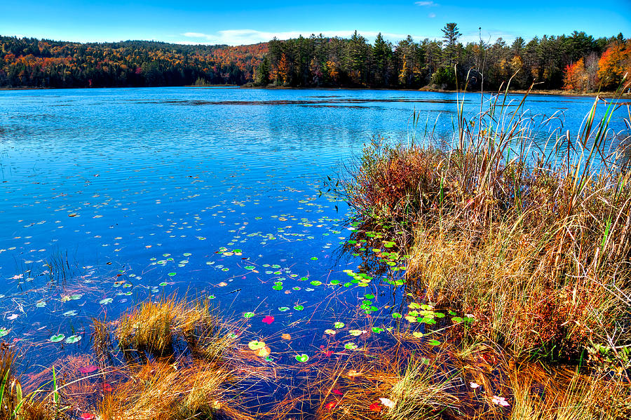 A Fall Day on Loon Lake Photograph by David Patterson Fine Art America