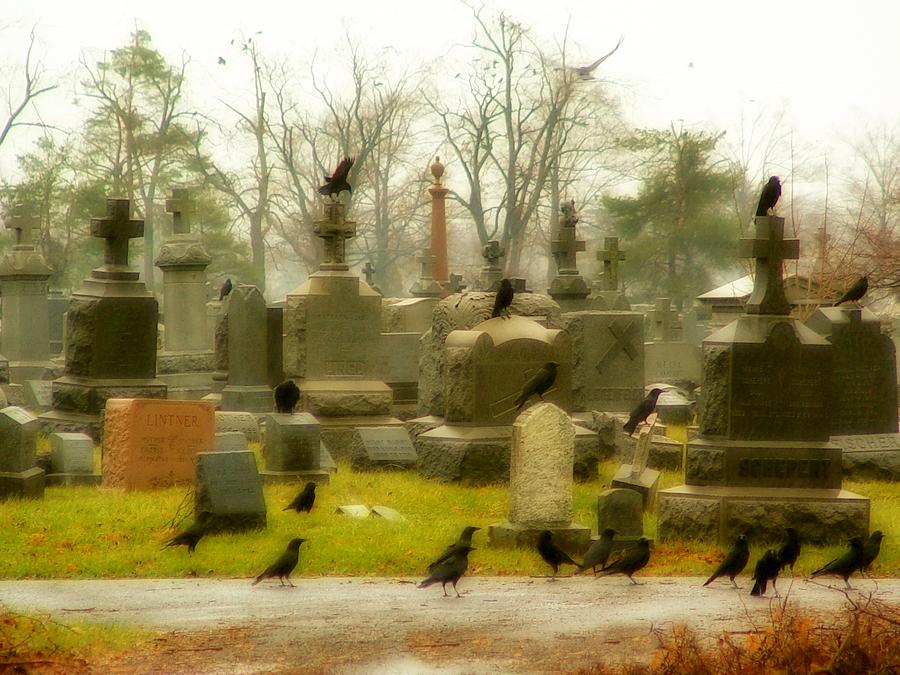 A Fall Gathering Of Crows Photograph by Gothicrow Images - Fine Art America