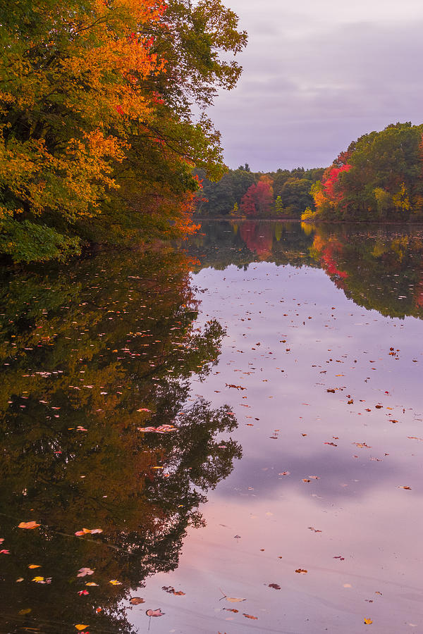 A Fall Morning Photograph by Bryan Bzdula