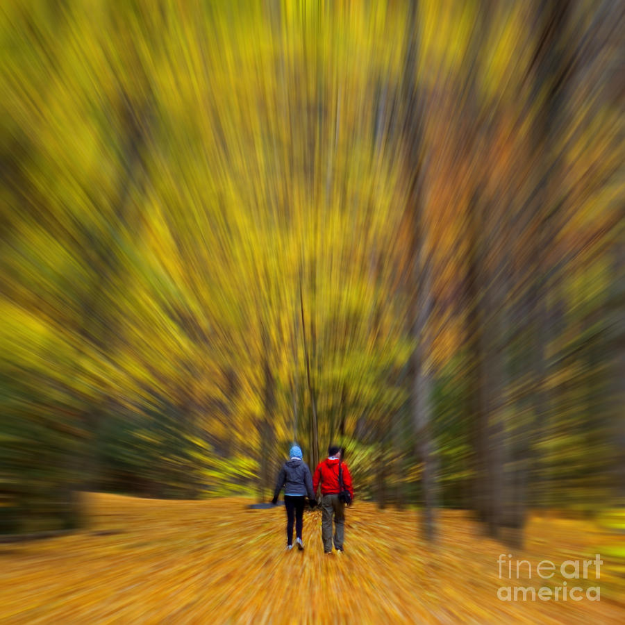 A Fall Stroll Taughannock Photograph by Jerry Fornarotto