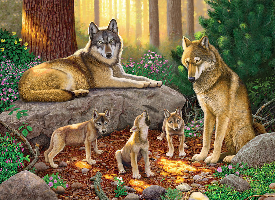 Wolves Photograph - A Family Of Wolves by MGL Meiklejohn Graphics Licensing