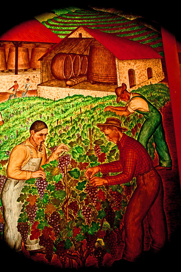 Coit Tower Photograph - A Family Vineyard by Joseph Coulombe