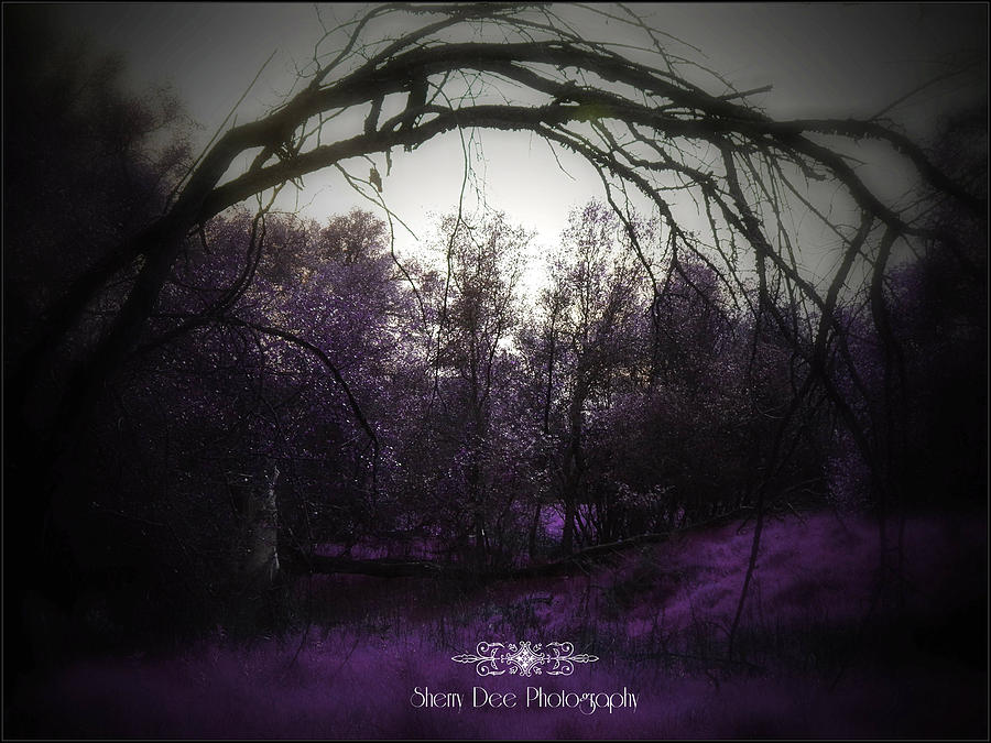 A Far Off Place by Sherry Flaker A Far Off Place by Sherry Flaker