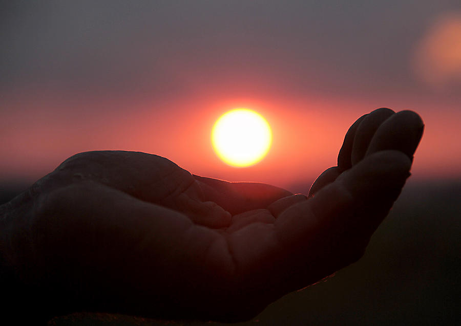 Sunset Photograph - A Farmers Hand by Miel  Paculanang