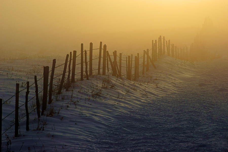 A Fence in the Fog Photograph by Daniel Woodrum