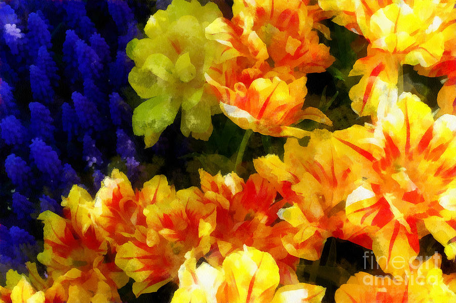 Albany Digital Art - A Festival of Tulips by Betsy Cotton
