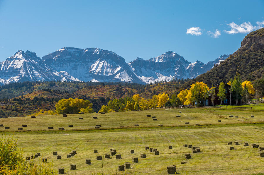 A Field of Hay in Colorado Photograph by Willie Harper