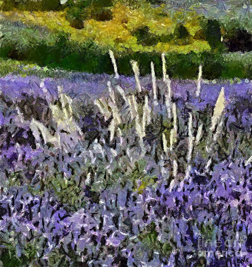 A Field Of Lavender Painting by Dragica  Micki Fortuna