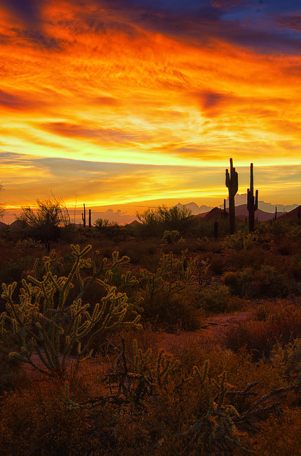 A Fiery Desert Sunset Photograph by Saija Lehtonen - Fine Art America