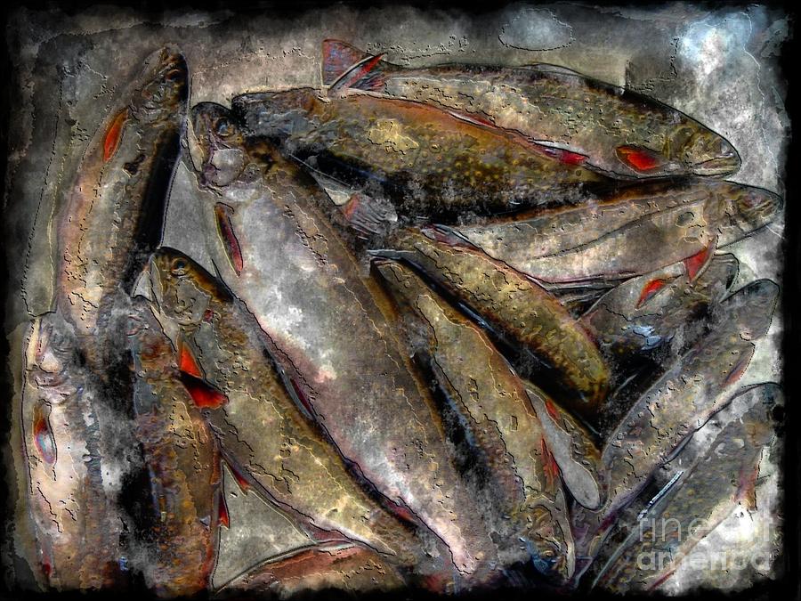 A Fine Catch of Trout - Steel Engraving Photograph by Barbara A Griffin