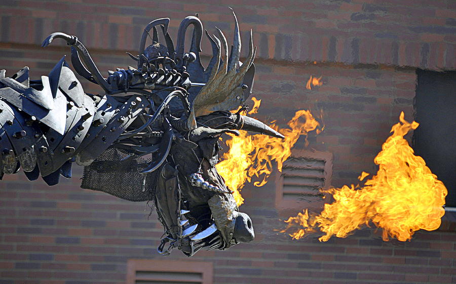 A Fire Breathing Dragon Photograph by AJ  Schibig