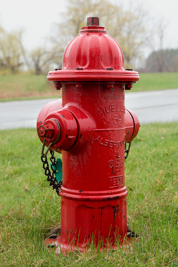 A Fire Hydrant Photograph by Courtney Webster