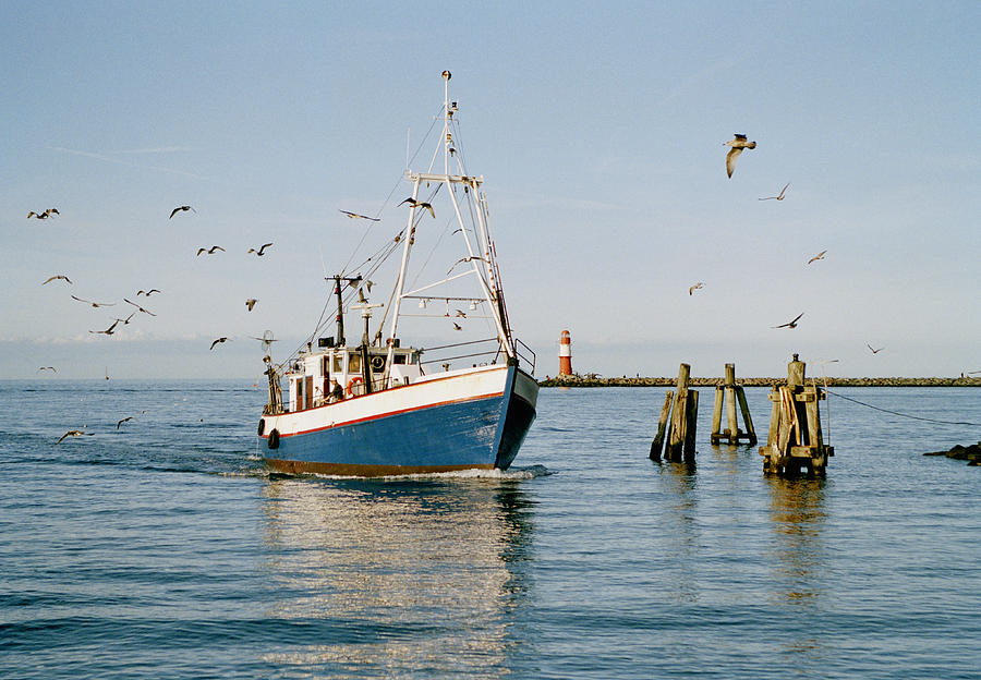 A fishing boat with seagulls flying around Photograph by fStop Images - Ivo Gabrowitsch