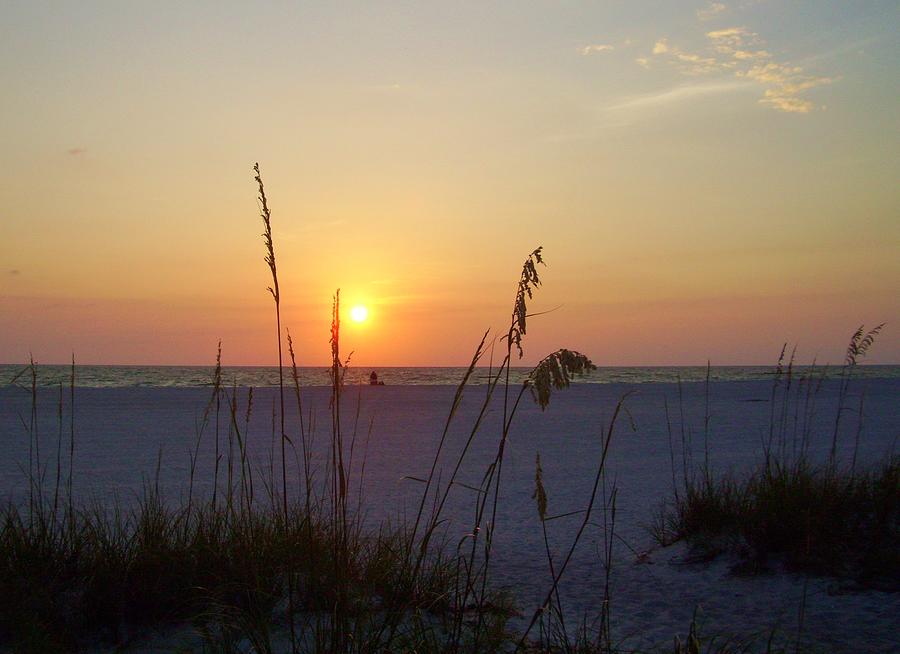 A Florida Sunset Photograph by Cynthia Guinn