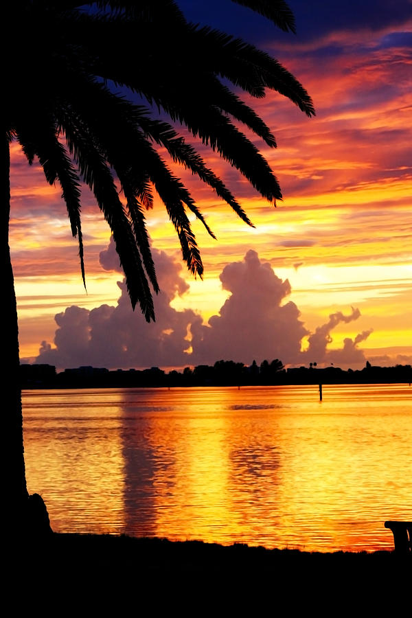 A Florida Sunset Photograph
