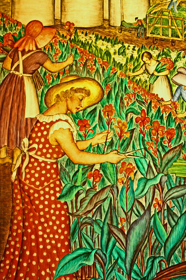 Coit Tower Photograph - A Flower Harvest by Joseph Coulombe
