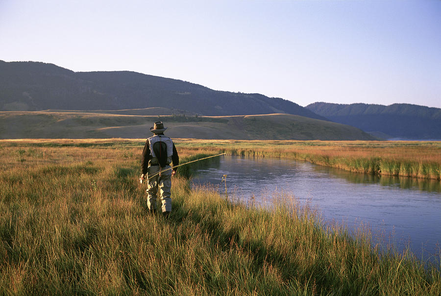 A Fly-fisherman Walks Along A Trout Photograph by Tom Montgomery A Fly-fisherman Walks Along A Trout Photograph by Tom Montgomery