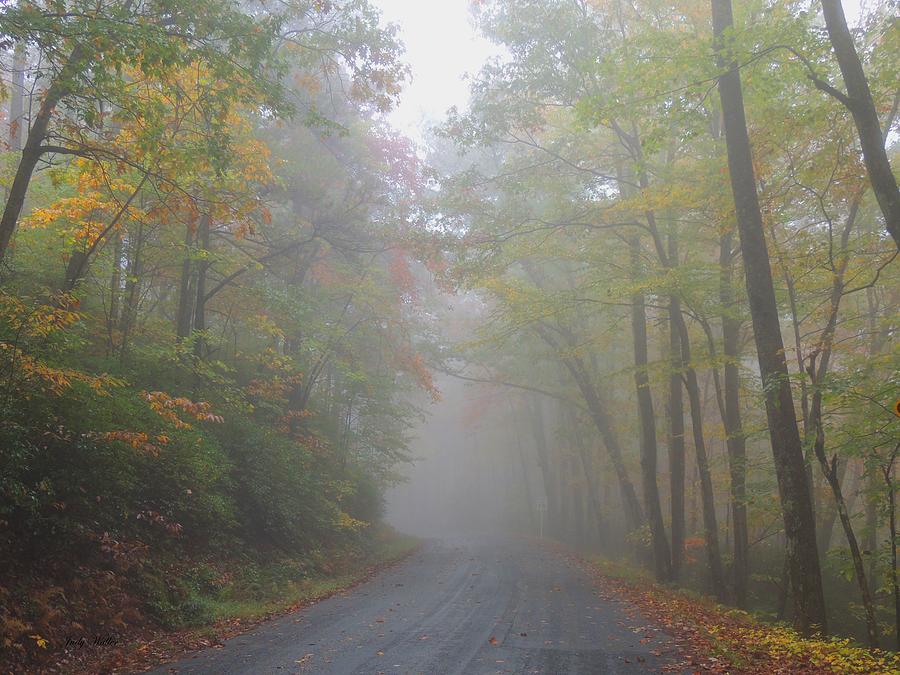 A Foggy Drive Photograph by Judy Waller - Fine Art America