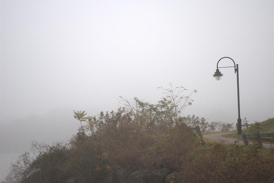 A Foggy Morning Photograph by Judy Salcedo