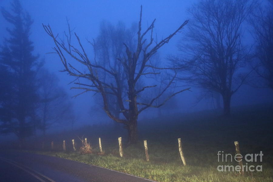 A Foggy Road Photograph by Robert Loe