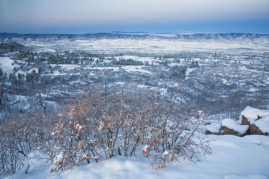 A Foothills Winter Morning Photograph by Morris McClung