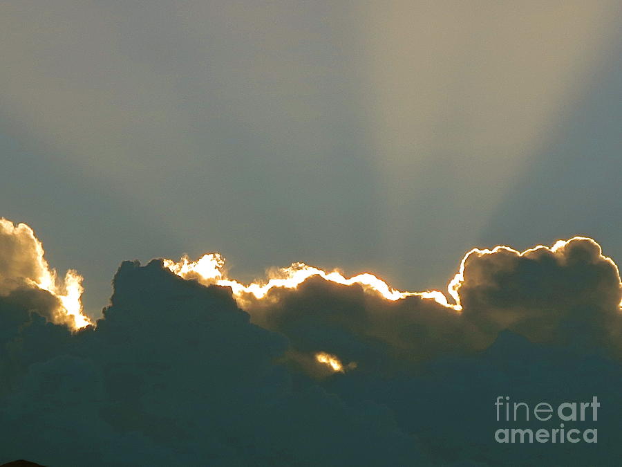 A Fragile Ray of Sunshine. Photograph by Robert Birkenes