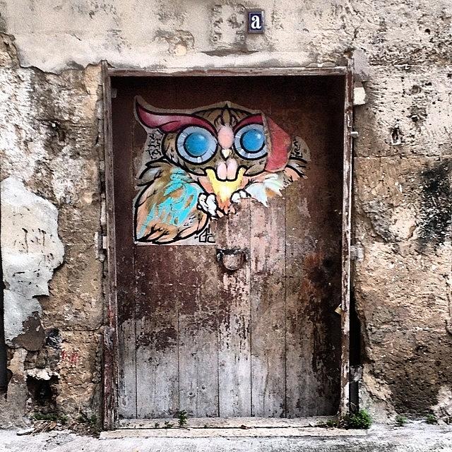 Owl Photograph - A Front #door In #palmademallorca by Balearic Discovery