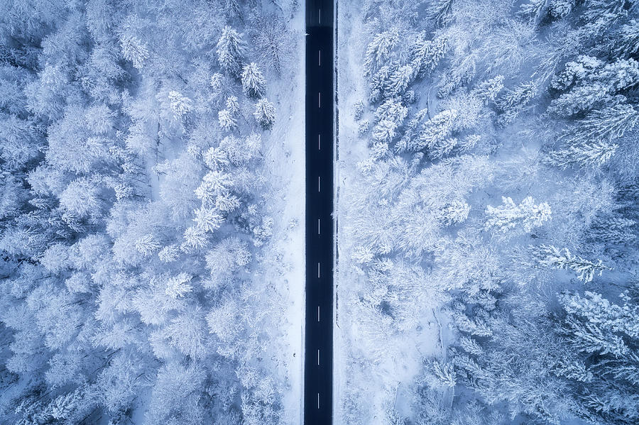 Tree Photograph - A Frosty Road by Daniel Fleischhacker