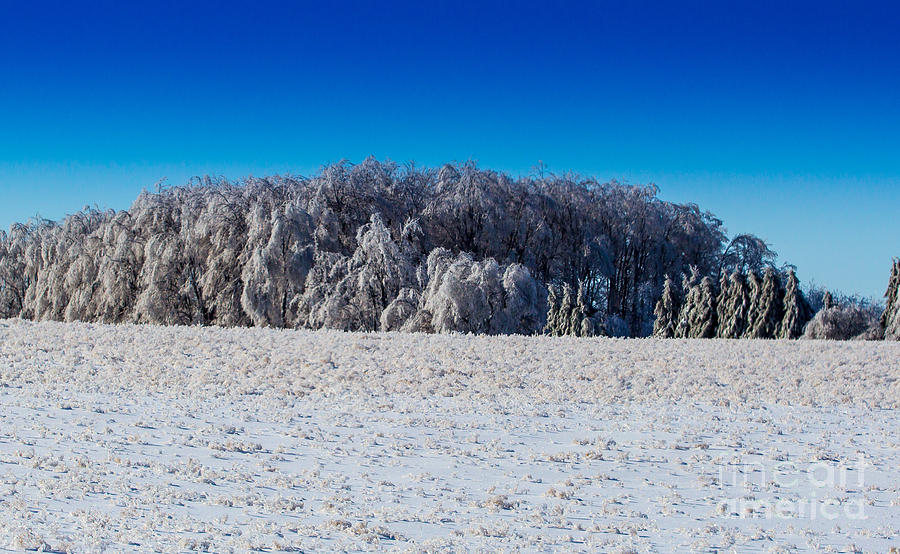 A Frozen wasteland  Photograph by Simon Jones