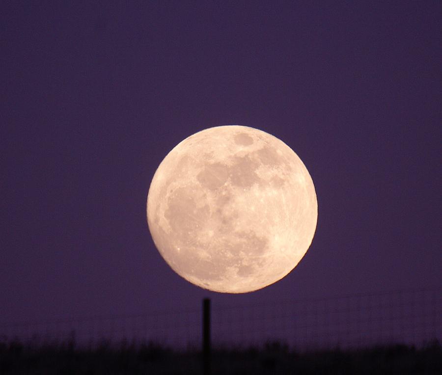 A Full Moon Behind My Fence Photograph