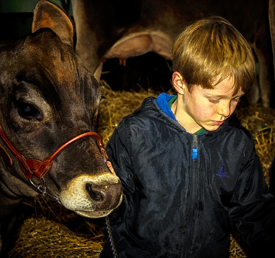 Animal Photograph - A Future Farmer in the Making by Toma Caul