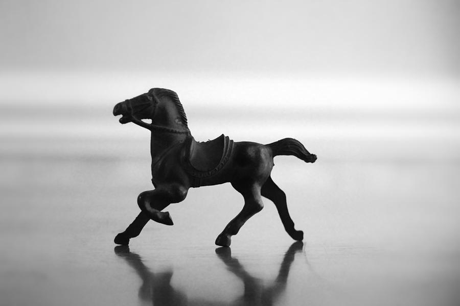 A Gallop Through the Imagination in Black and White Photograph by Kelly Hazel