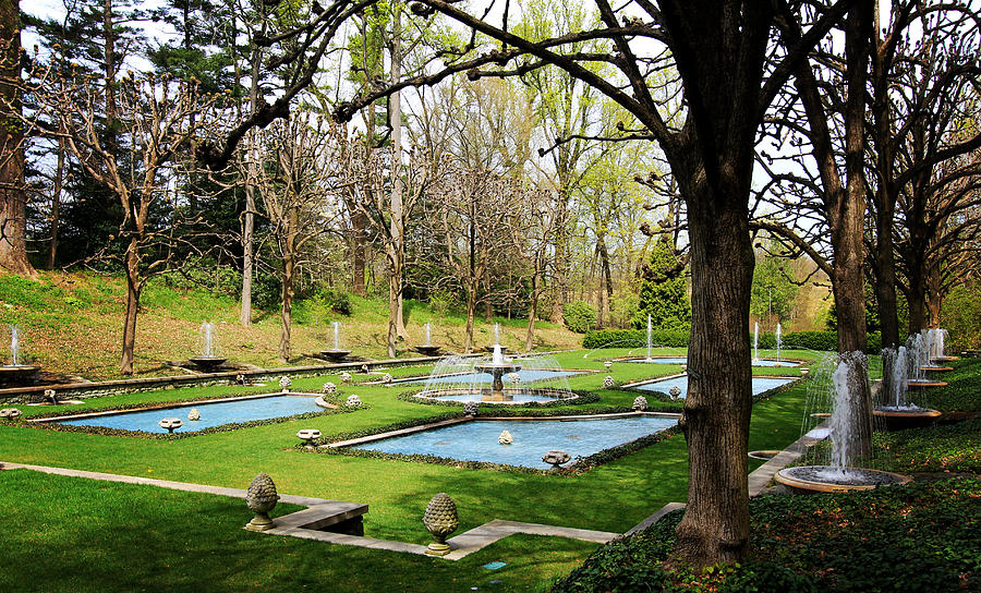 A Garden of Fountains Photograph by Trina  Ansel