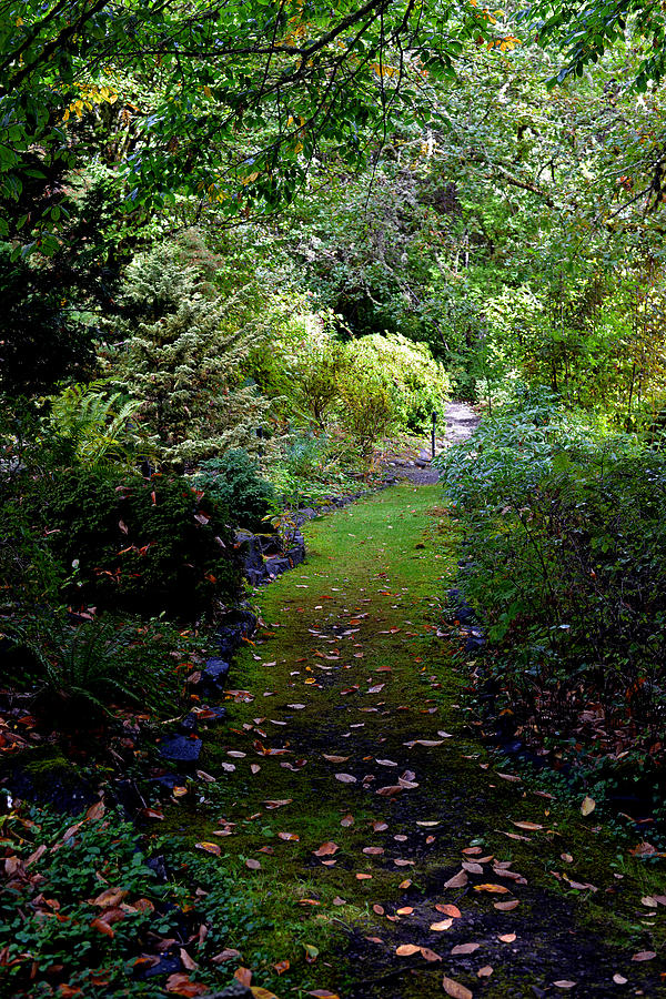 A Garden Path Photograph by Anthony Baatz