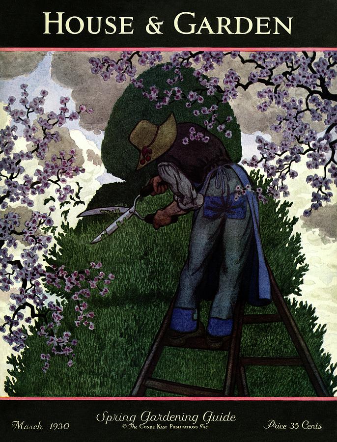 A Gardener Pruning A Tree Photograph by Pierre Brissaud