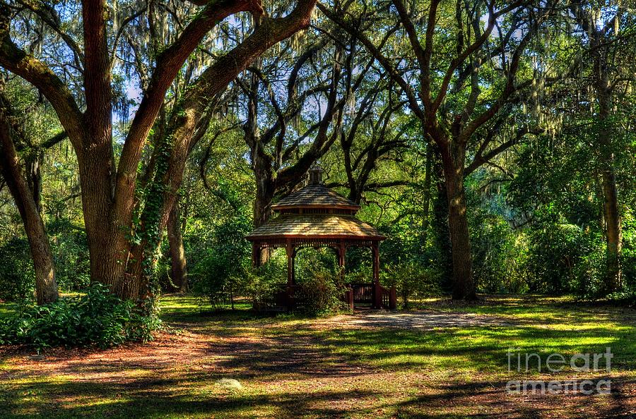 A Gazebo In The Woods Photograph by Mel Steinhauer